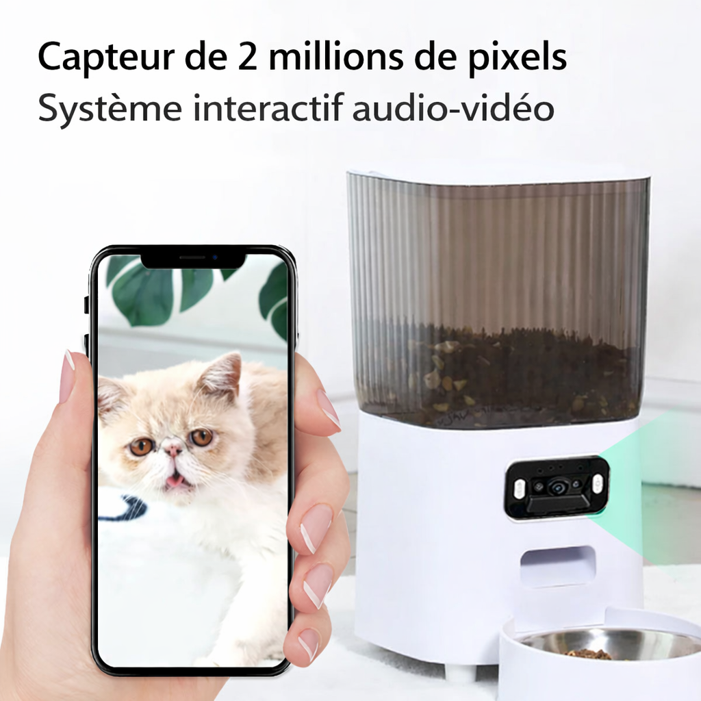 Distributeur automatique pour chat avec caméra HD WiFi et contrôle via application