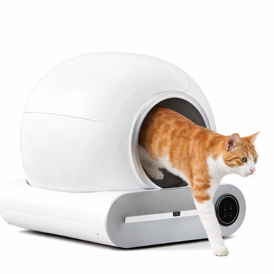 Litière automatique connectée grande capacité pour chat avec nettoyage intelligent
