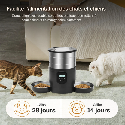 Distributeur automatique de croquettes pour chat 4.5L connecté avec application mobile