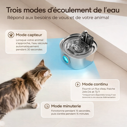 Fontaine à eau pour chat sans fil en acier inoxydable rechargeable avec filtration continue